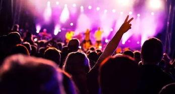 广西音乐节爆料视频,视听盛宴，青春狂欢纪实  第1张